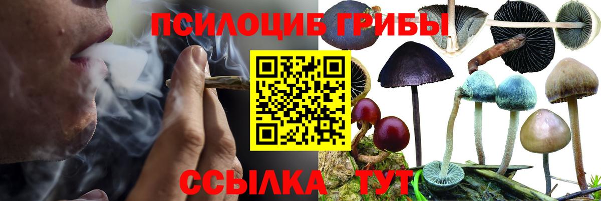 Псилоцибиновые грибы мухоморы  Вход с VPN  Братск 